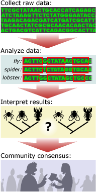 This is raw data, but what does it mean?