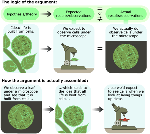 hypothesis, expectation, and actual observation