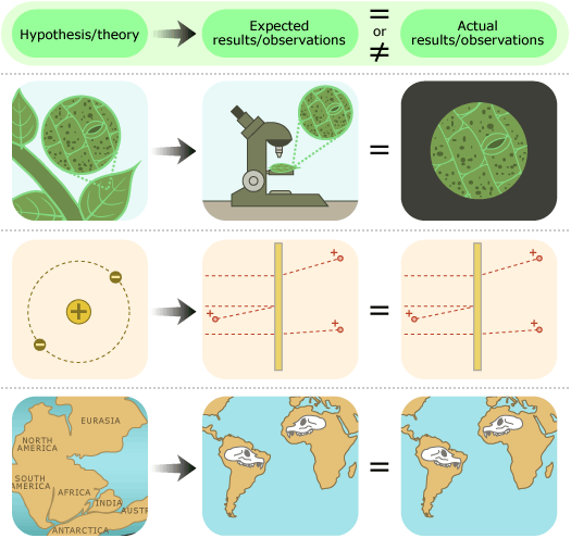 the core of science