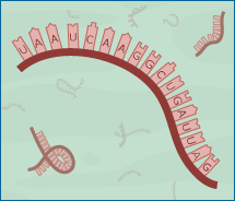 RNA world